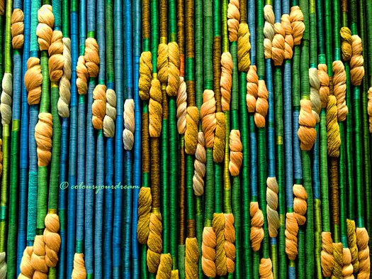 colouryourdream purpose goal life personality photography carpet