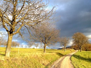 life coaching purpose life goal inner strength