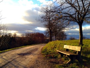 life coaching,purpose , life, emotional intelligence