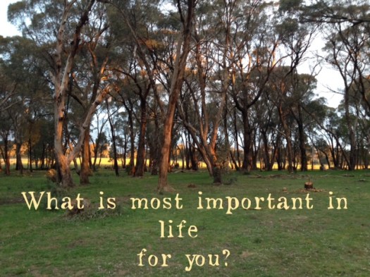 colouryourdream, life coaching, purpose, values, important